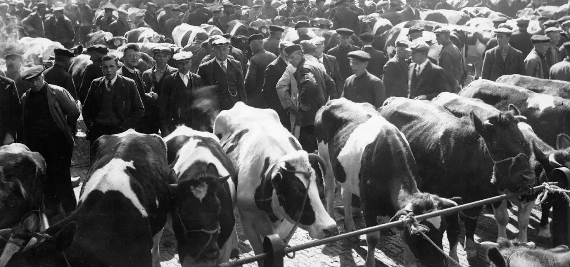 Boerenmaandag nijkerk