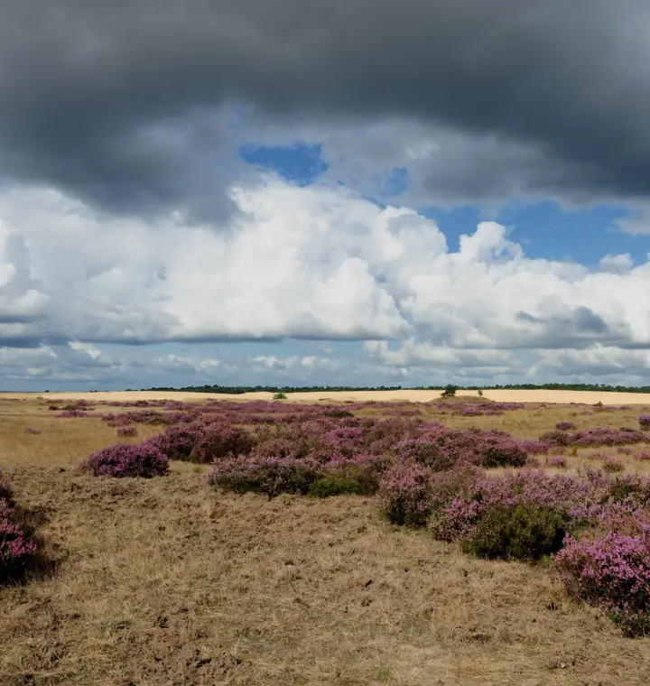 Hoge veluwe land