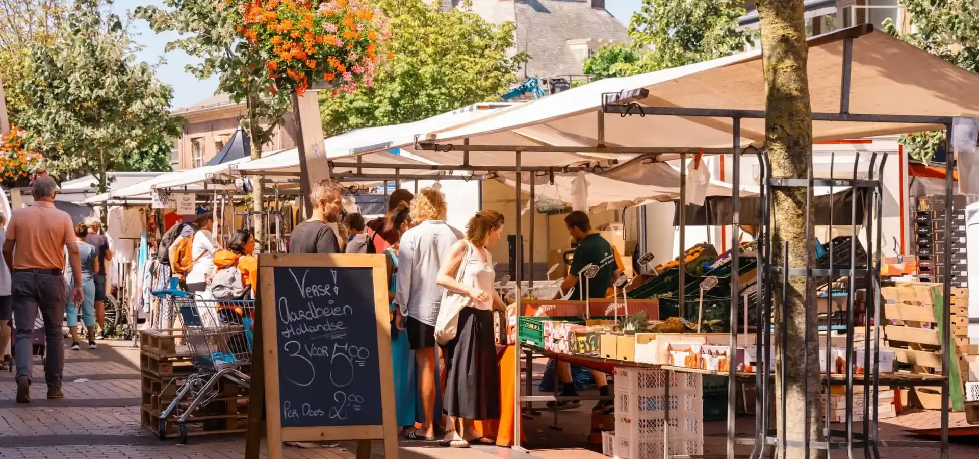 Markt