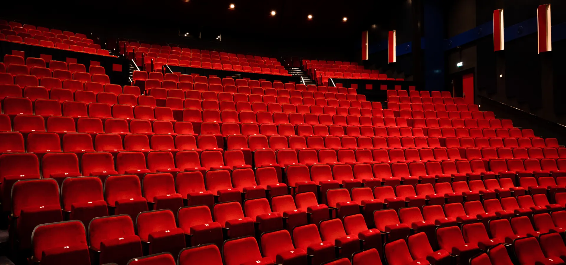 Zaalfotos Lampegiet Gwyneth Cook