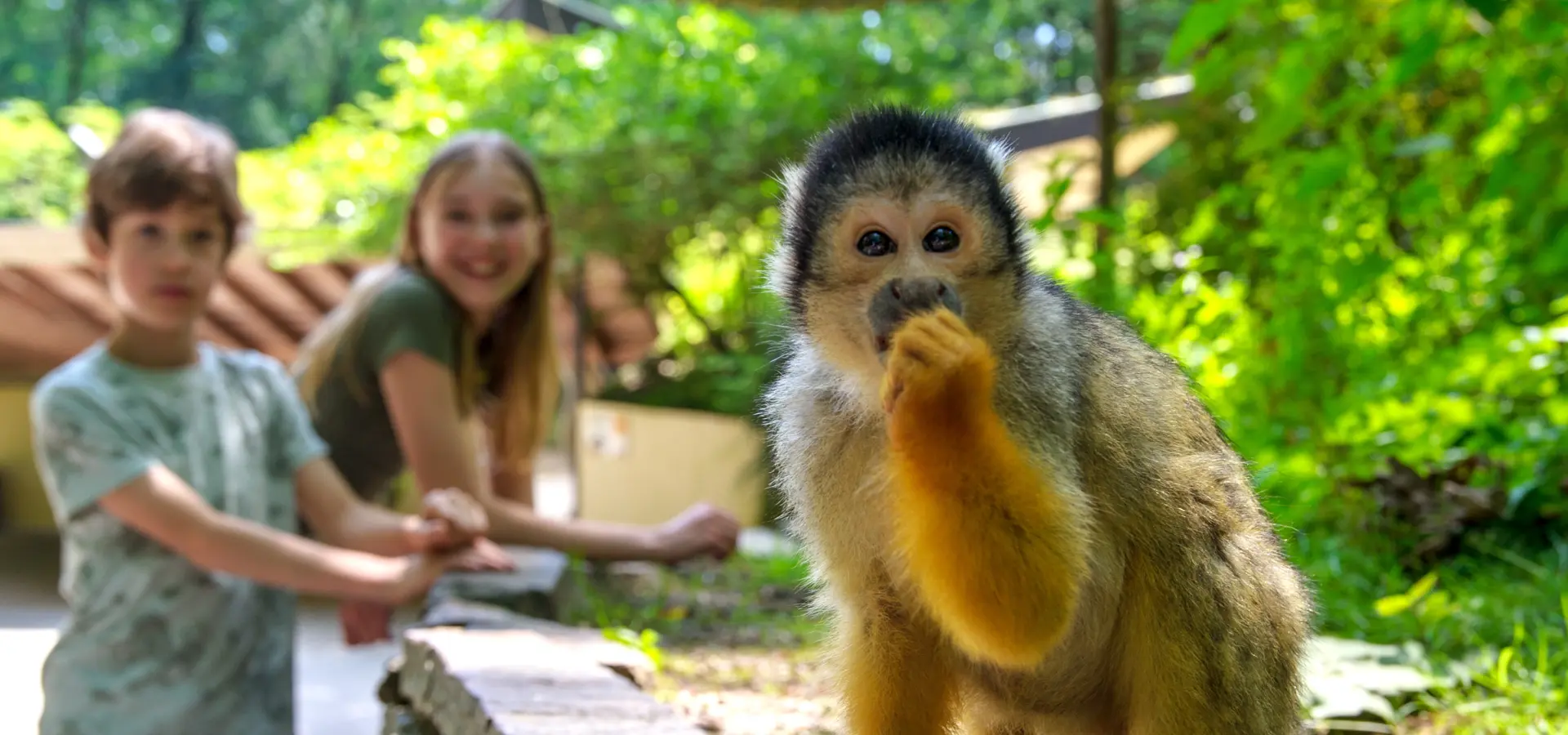 Apenheul kids dha1 HR 1