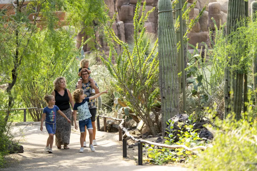Belevingsfotos gezin desert en mangrove