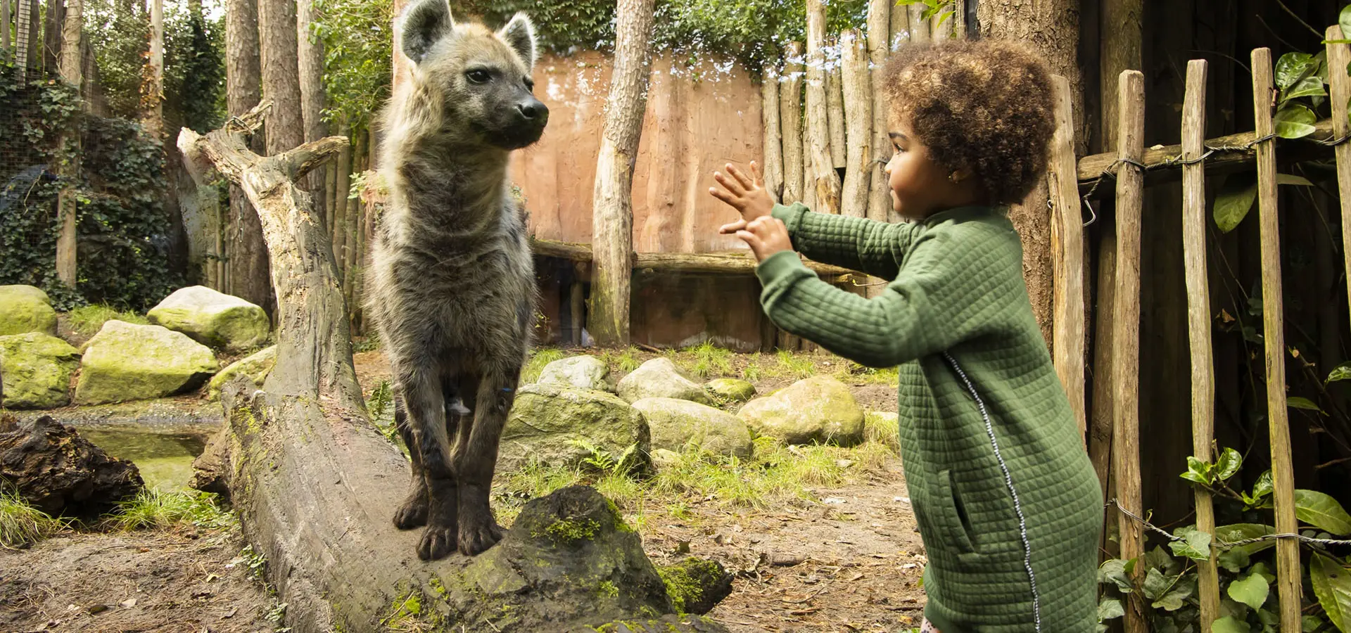 Dieren Park Amersfoort 2