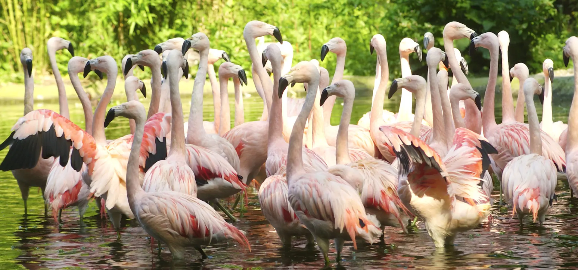 Dieren Park Amersfoort 6