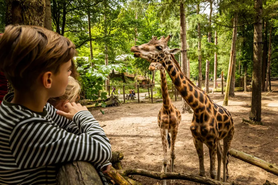 Dieren Park Amersfoort 3