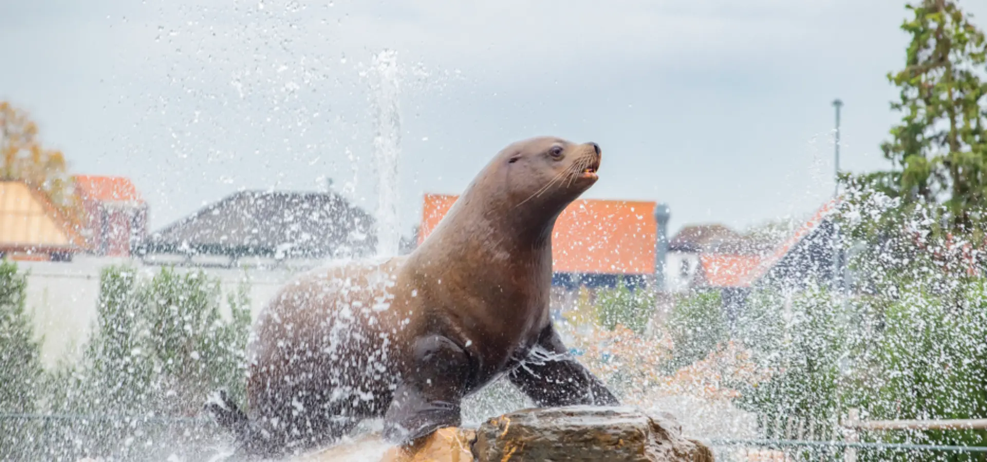 Screenshot 2025 11 11 092439