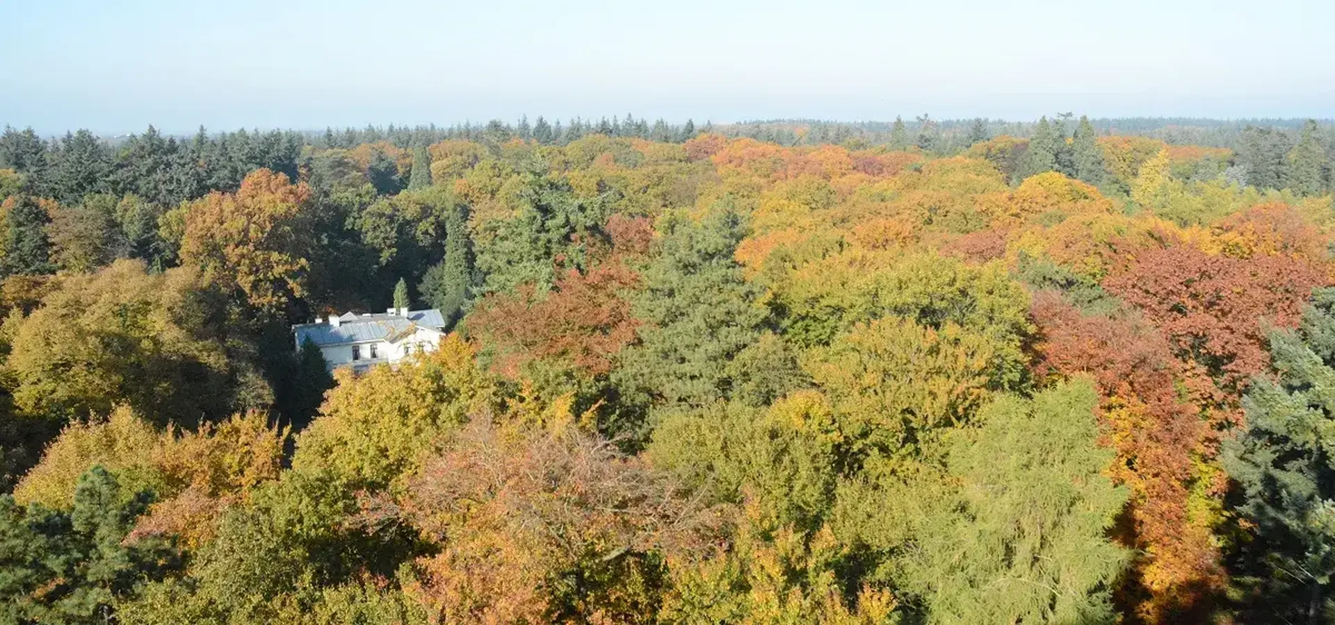 Schovenhorst bostoren uitzicht herfst