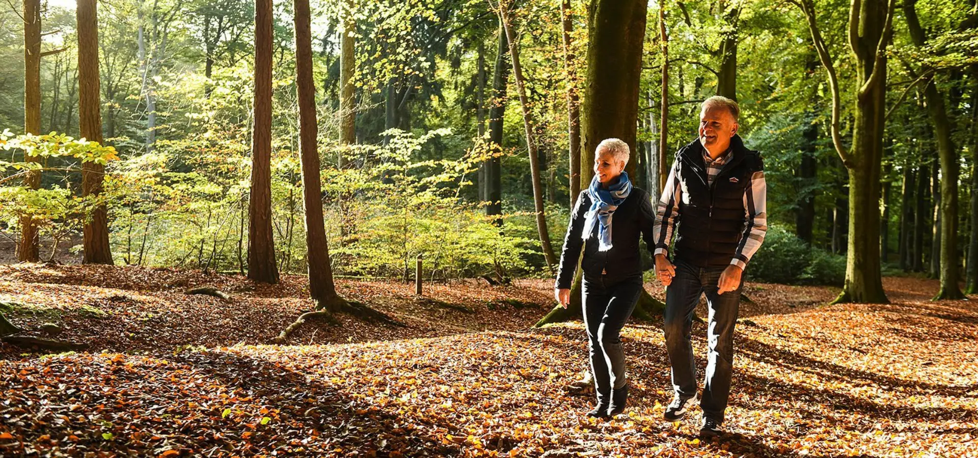 Wandelen bos herfst