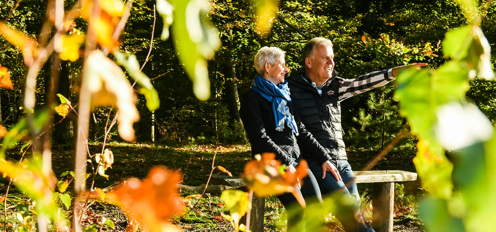 Wandelen foto herfst