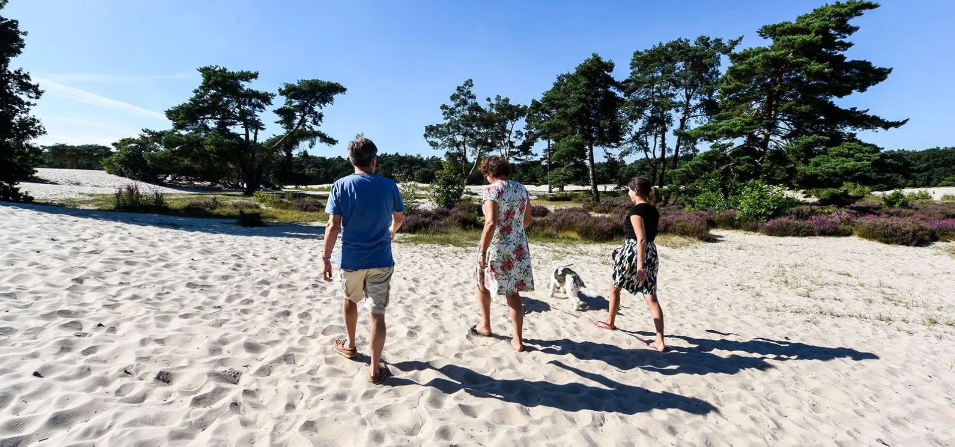 Soesterduinen wandelen