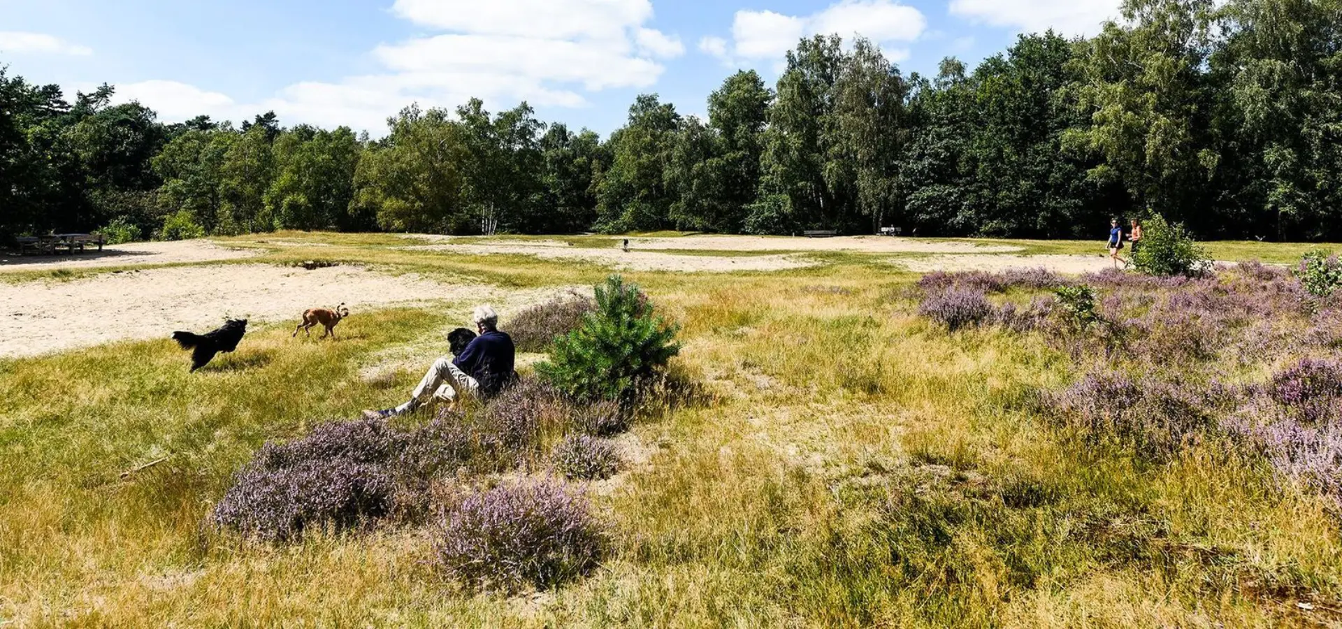 Utrechtse heuvelrug 2