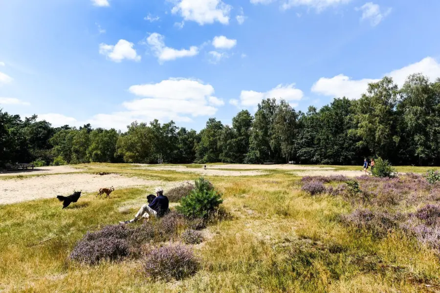 Utrechtse heuvelrug 2