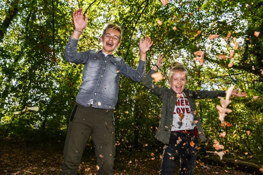 Herfst blaadjes kids