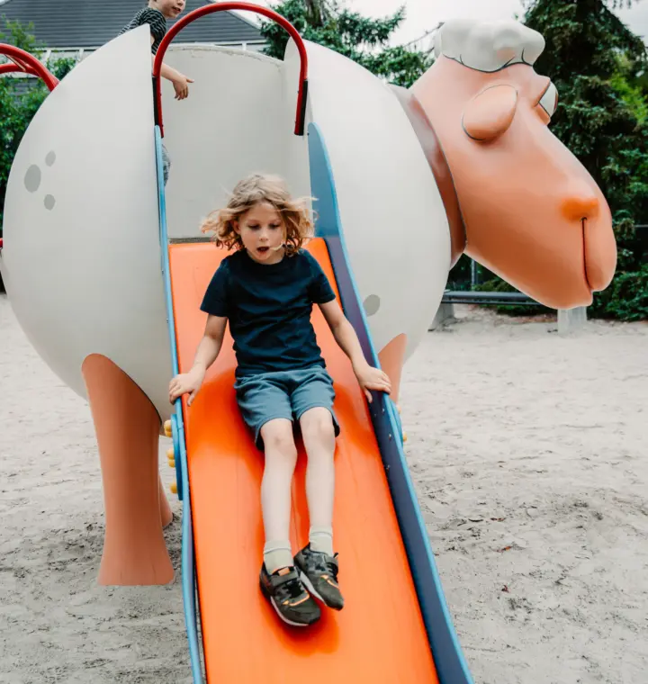 Kids speeltuin ruwinkel 907 A9005