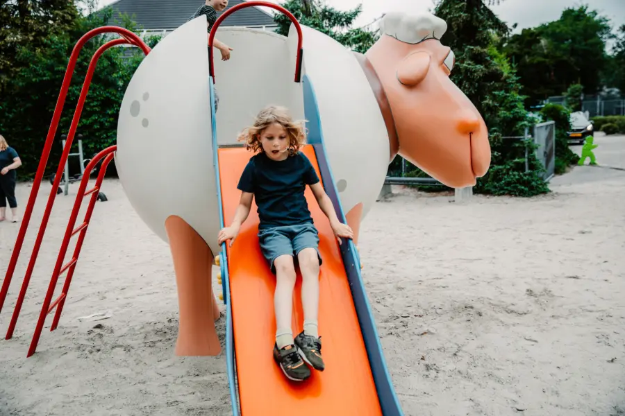 Kids speeltuin ruwinkel 907 A9005