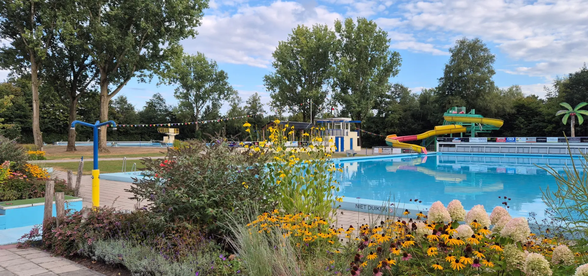 Zwembad 2