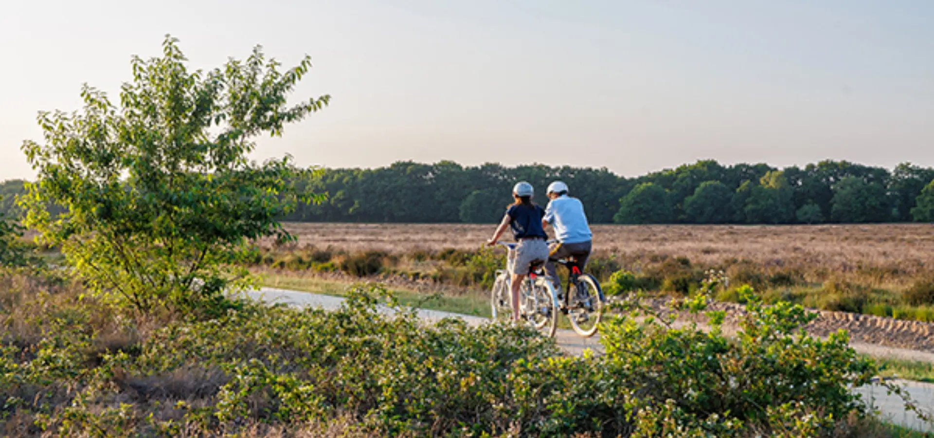 Fietsen in Ede Gem Ede Ede Marketing