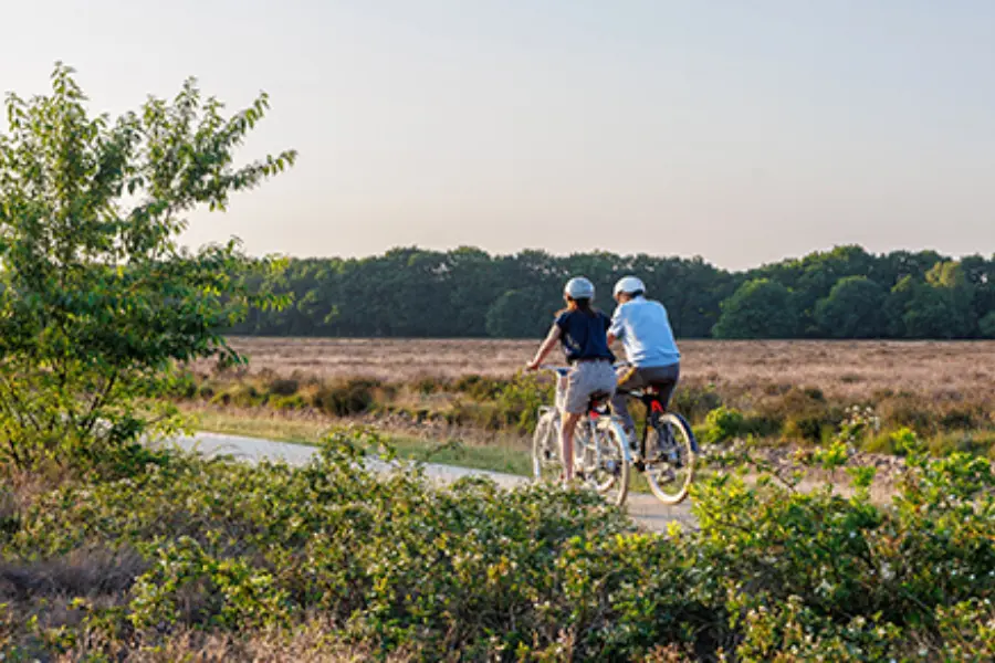 Fietsen in Ede Gem Ede Ede Marketing