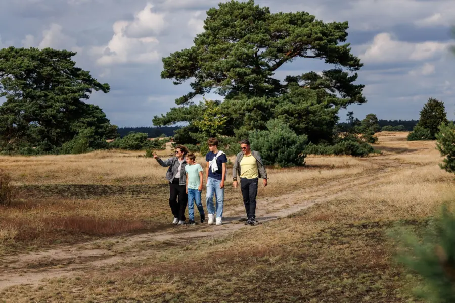 Het Nationale Park De Hoge Veluwe Ede Marketing