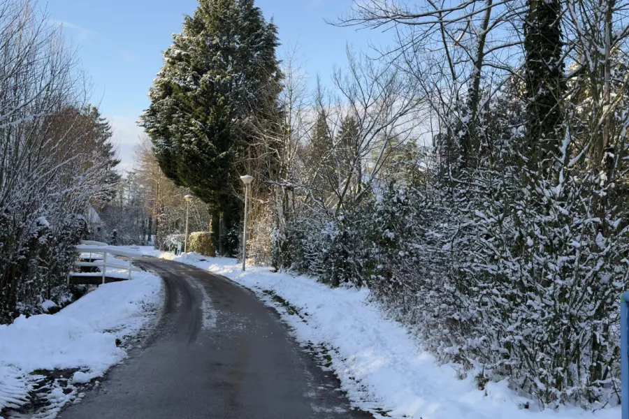 Foto 06 01 2026 15 09 58