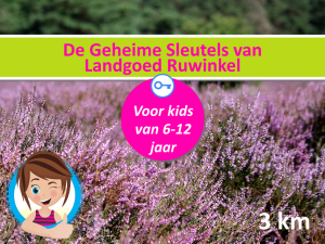 Cover Ruwinkel 150 dpi.png