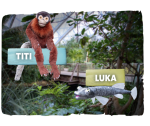 burgers zoo musical