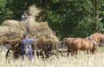 boerenland