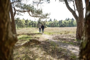 wandelen over de heide landgoed ruwinkel.jpg