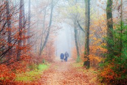 wandelen herfst landgoed ruwinkel