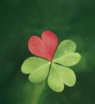 hart met rood