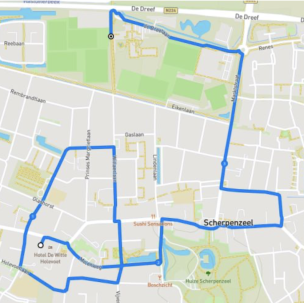 Intocht Sinterklaas Scherpenzeel 24