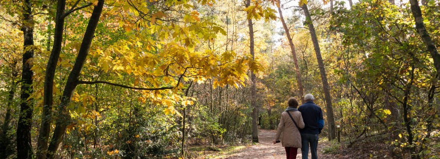 Heerlijk wandelen in november