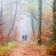 wandelen herfst landgoed ruwinkel.jpg