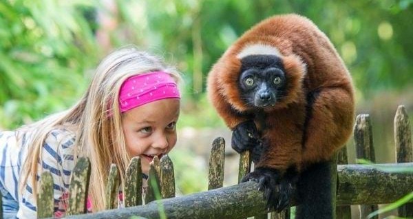 <a href="https://www.landgoedruwinkel.nl/nl/vakantiehuizen">Zoek &amp; Boek</a>