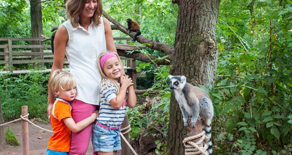 <a href="https://www.landgoedruwinkel.nl/nl/vakantiehuizen">Zoek &amp; Boek</a>