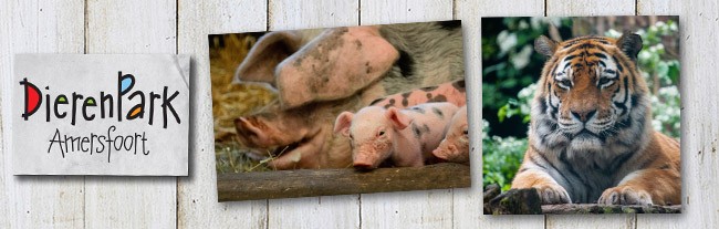 <a href="https://www.landgoedruwinkel.nl/nl/vakantiehuizen">Zoek &amp; Boek</a>