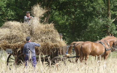 boerenland