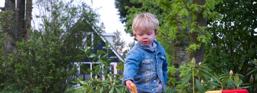 Krokusvakantie vieren in februari