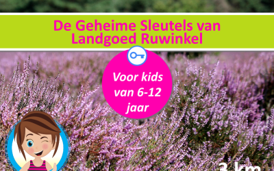 Cover Ruwinkel 150 dpi.png